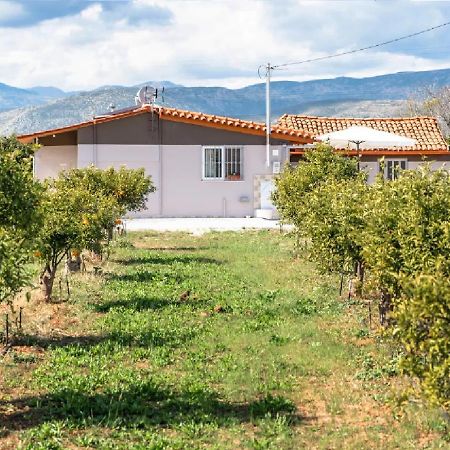 Angela Apartment Dalamanara Εξωτερικό φωτογραφία