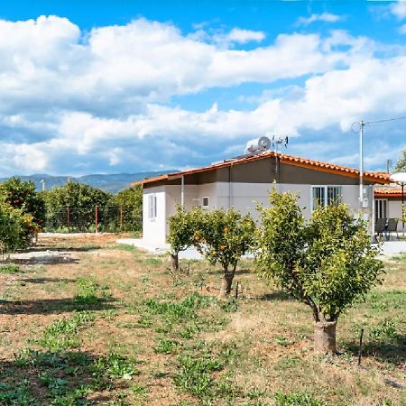 Angela Apartment Dalamanara Εξωτερικό φωτογραφία