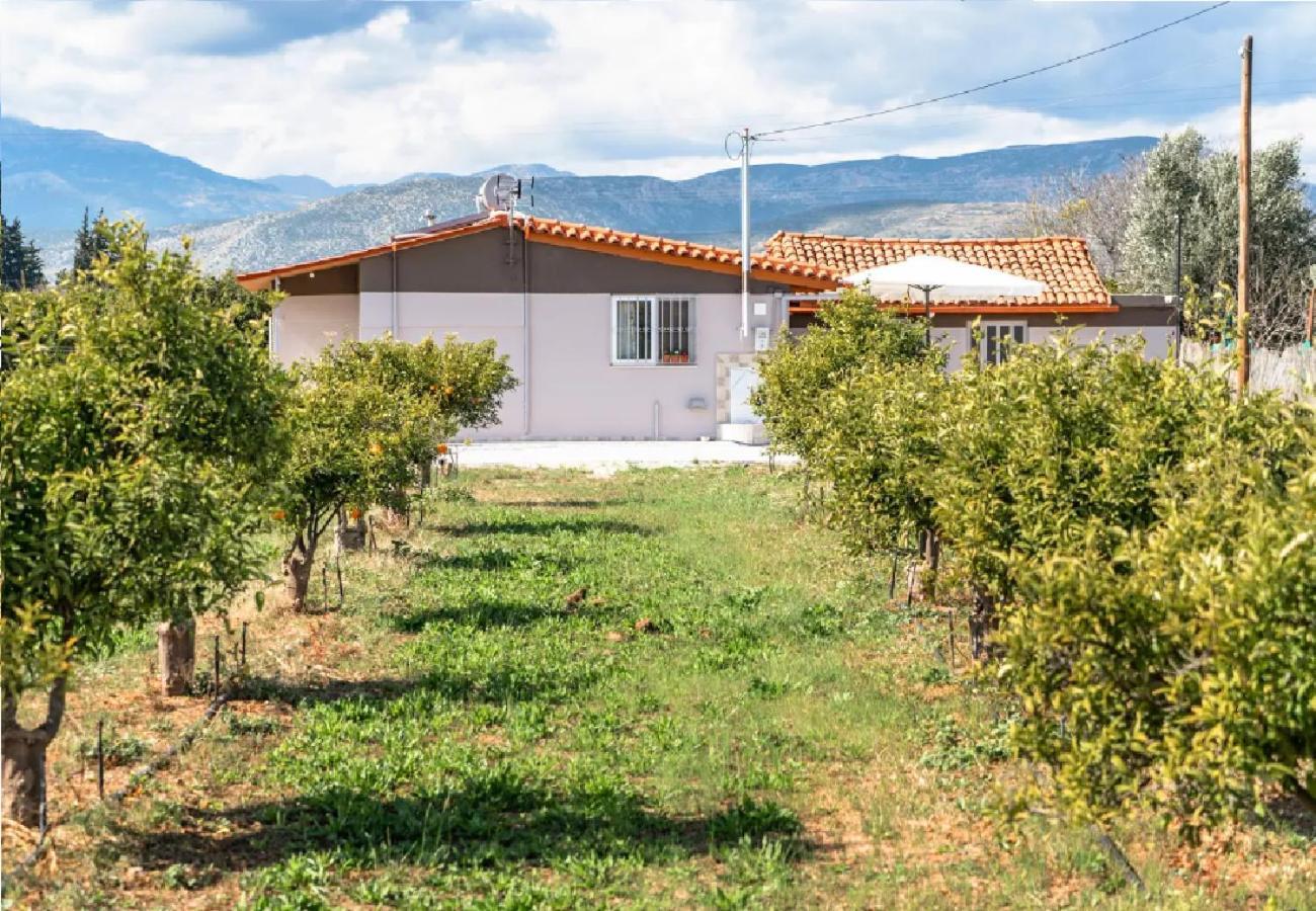 Angela Apartment Dalamanara Εξωτερικό φωτογραφία