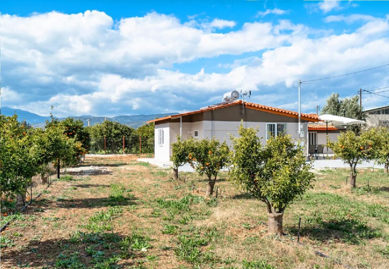 Angela Apartment Dalamanara Εξωτερικό φωτογραφία